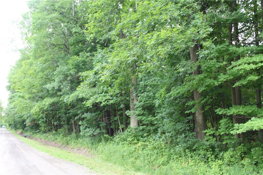 0 Tinkham Road, Bennington, NY 14011 Buffalo NY Homes For Sale