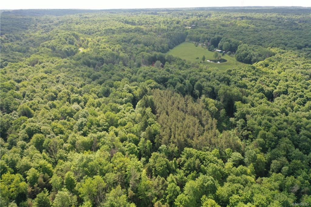 0 Hayes Hollow Road, Colden, NY 14033 Buffalo NY Homes For Sale